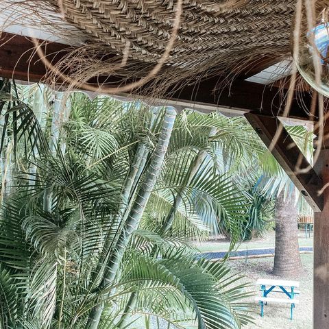 Restaurant Saint Francois Le Jardin Secret
