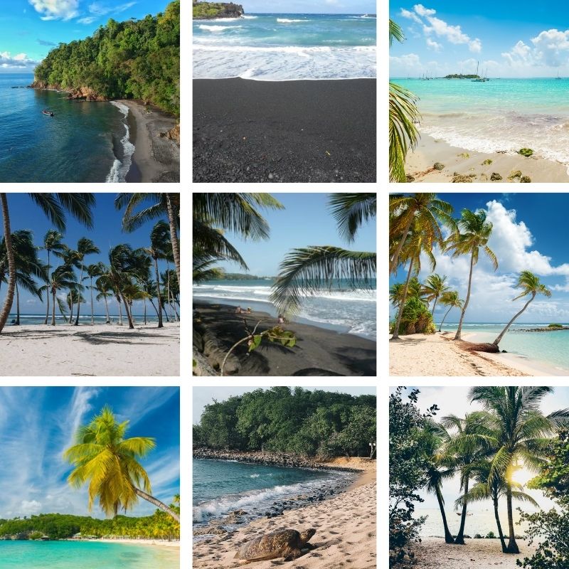 Beaches in guadeloupe white sand black sand